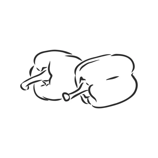 Du poivre. Vecteur de légumes dessinés à la main isolés sur fond blanc. poivron, croquis vectoriel illustration — Image vectorielle
