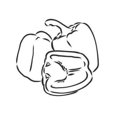 Tatlı biber. Beyaz arka planda izole edilmiş sebzeler çizdim. Çan biberi, vektör çizimi çizimi