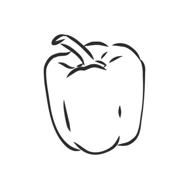 Tatlı biber. Beyaz arka planda izole edilmiş sebzeler çizdim. Çan biberi, vektör çizimi çizimi