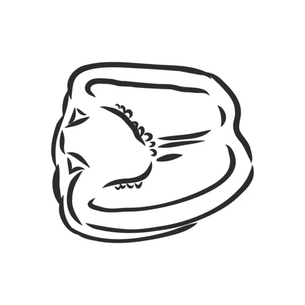 Zoete peper. Vector met de hand getekende groenten geïsoleerd op witte achtergrond. paprika, vectorschets illustratie — Stockvector