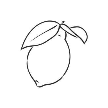 El çizimi limon dilimi, parça parça, arka planda. Lemon, vektör çizimi çizimi