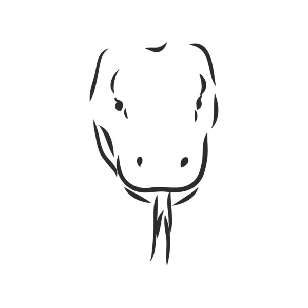 Dibujado a mano, ilustración de boceto de dragón Komodo. ilustración vectorial varan boceto — Archivo Imágenes Vectoriales