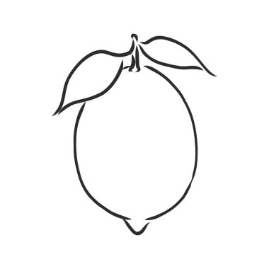 El çizimi limon dilimi, parça parça, arka planda. Lemon, vektör çizimi çizimi