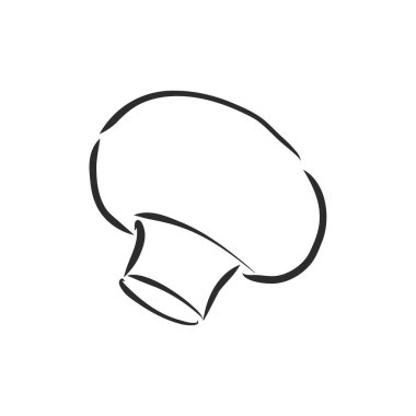 Mantar Şampiyonu. Beyaz arka planda izole edilmiş sebzeler çizdim. Champignon, vektör çizimi çizimi