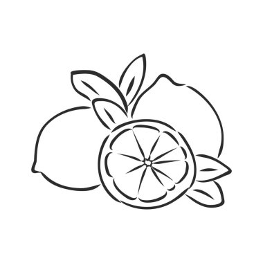 El çizimi limon dilimi, parça, hafif arkaplan üzerine