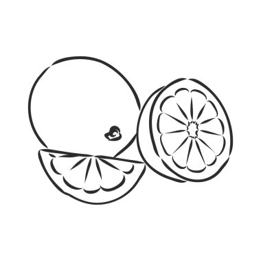 El çizimi limon dilimi, parça, hafif arkaplan üzerine