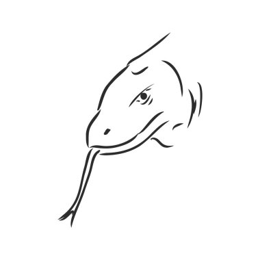 El çizimi, Komodo ejderhasının çizimi. varan vektör çizimi çizimi