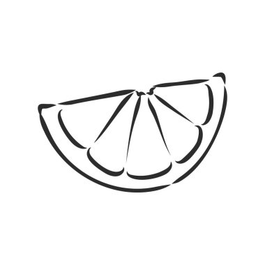 Limon ve kireç ve onların parçaları izole edilmiş El çizilmiş monokrom vektör illüstrasyon limon dilimi, vektör çizimi beyaz arka planda