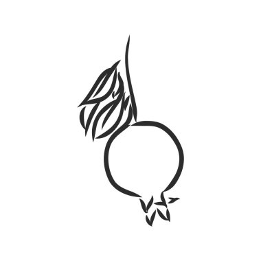 Tropikal nar meyvesinin vektör çizimi. Olgun Garnet 'in yuvarlak ana hatları beyaz bir arkaplanda izole edilmiş, bahçecilik temalı bir stok çizimi. Garnet, beyaz arkaplanda vektör çizimi