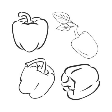 Yarım dolmalık biber. Siyah ve beyaz vektör çizimi. Beyaz bir arkaplanda izole edilmiş.