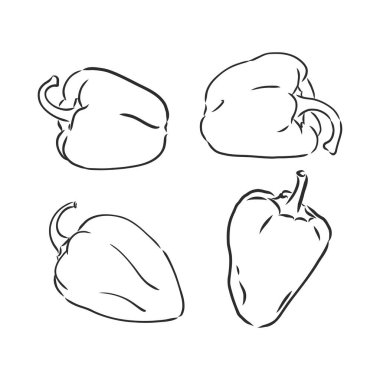 Yarım dolmalık biber. Siyah ve beyaz vektör çizimi. Beyaz bir arkaplanda izole edilmiş.