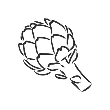 Kabartma çizimi vektör kümesi beyaz arkaplanda yeşil sebzeler