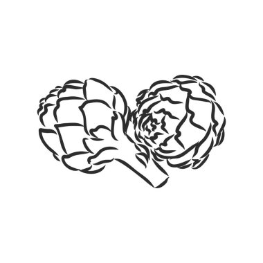 Kabartma çizimi vektör kümesi beyaz arkaplanda yeşil sebzeler