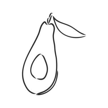 Avokado. Contour illüstrasyon. Tahta kesim tarzında egzotik meyveler. Beyaz arkaplanda izole edilmiş vektör.