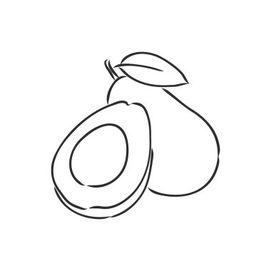 Avokado. Contour illüstrasyon. Tahta kesim tarzında egzotik meyveler. Beyaz arkaplanda izole edilmiş vektör.