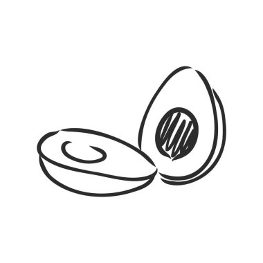 Avokado. Contour illüstrasyon. Tahta kesim tarzında egzotik meyveler. Beyaz arkaplanda izole edilmiş vektör.