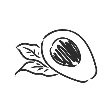 Avokado. Contour illüstrasyon. Tahta kesim tarzında egzotik meyveler. Beyaz arkaplanda izole edilmiş vektör.