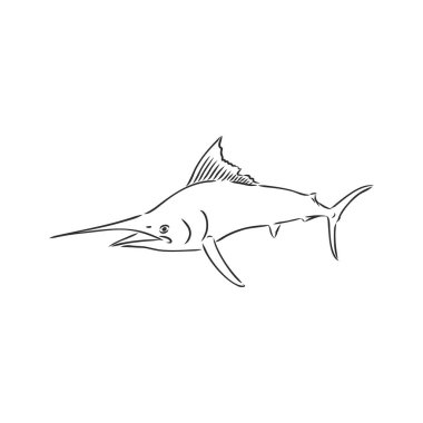 Kılıç balığı, zentangle stili, vektör, illüstrasyon, el yapımı kalem, el çizimi, desen.