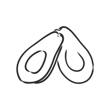 Avokado. Contour illüstrasyon. Tahta kesim tarzında egzotik meyveler. Beyaz arkaplanda izole edilmiş vektör.