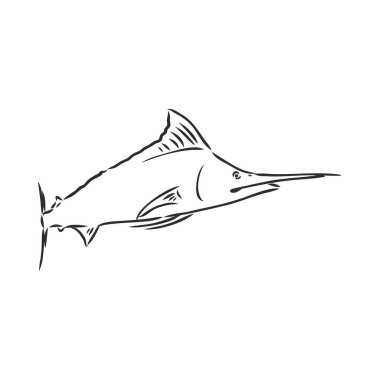Kılıç balığı, zentangle stili, vektör, illüstrasyon, el yapımı kalem, el çizimi, desen.