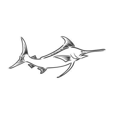 El çizimi kılıçbalığı atlama kılıçbalığı, vektör çizimi beyaz arka plan