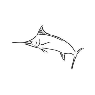 El çizimi kılıçbalığı atlama kılıçbalığı, vektör çizimi beyaz arka plan