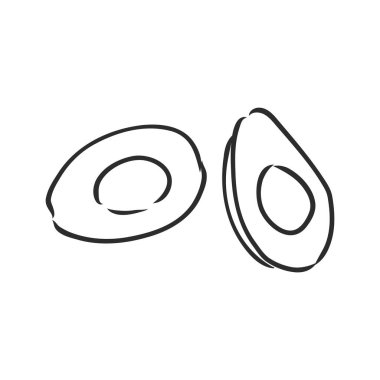 Avokado dilimi Vektör el çizimi vektör çizimi. Tropikal yaz meyvesi oyma stili. Ayrıntılı yemek çizimi. Etiket, poster ve baskı için harika. Beyaz arkaplanda siyah izole