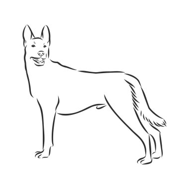 Doberman pincer line art, silhouette, tribal. Freehand vector illustration. Print for POD sites and coloring books.