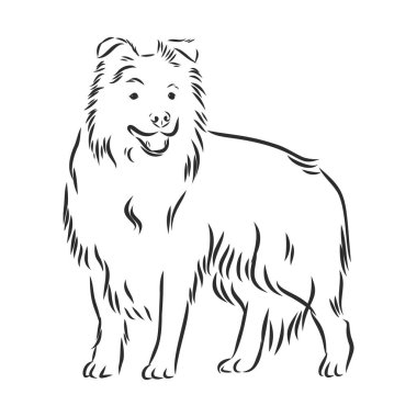 Kenar kömür ocağı vektör izole el resimde beyaz arka plan üzerinde siyah renkli çizimi