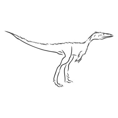illustration of Dinosaur, vector sketch, wild archeology