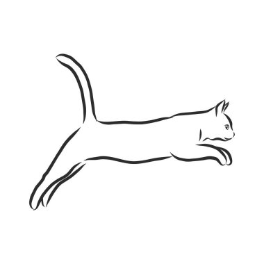 Kediler, siyah çizgiler. Doğrusal tasarım. Kediler, vektör illüstrasyonu. Kedi