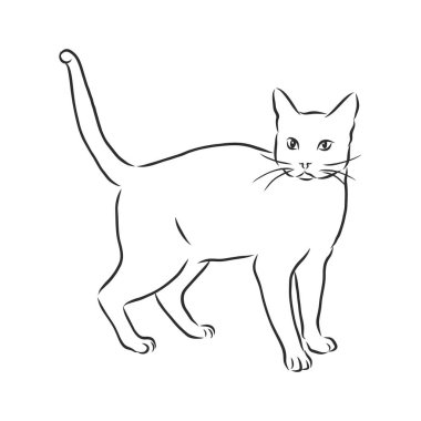 Kediler, siyah çizgiler. Doğrusal tasarım. Kediler, vektör illüstrasyonu. Kedi