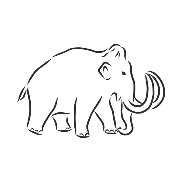 Desen Continuu Identității Logo Ului Companiei Mamut Animale Preistorice Din — Vector de stoc