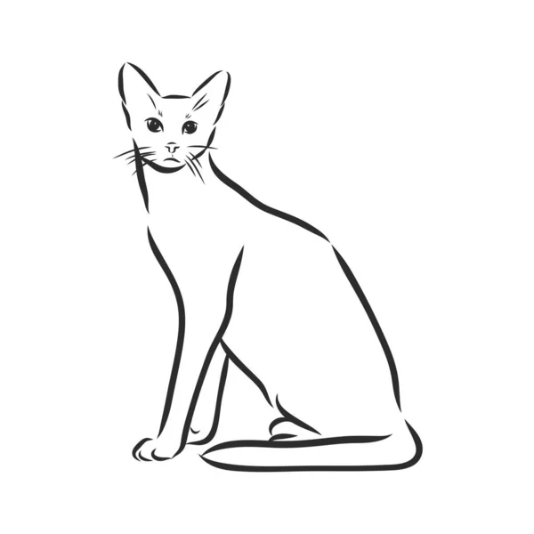 Gatos Linhas Pretas Design Linear Gatos Vetor Illustration Cat — Vetor de Stock