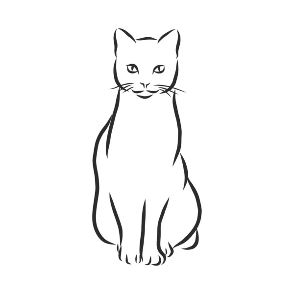 Gatos Líneas Negras Diseño Lineal Gatos Vector Illustration Cat — Vector de stock
