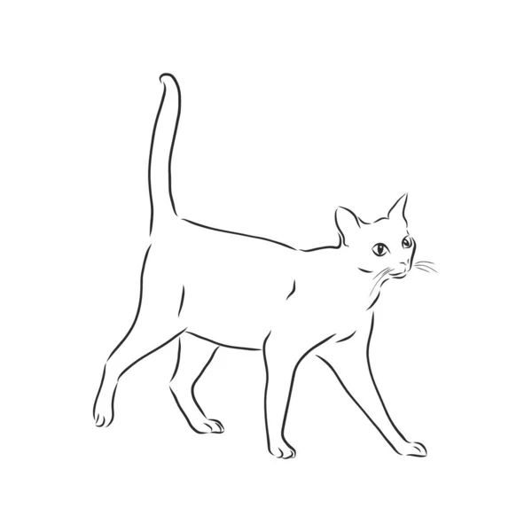 Katzen Schwarze Linien Lineares Design Katzen Vektorillustration Cat — Stockvektor