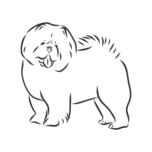 装飾的な黒と白の犬チョウのベクトル図 — ストックベクタ