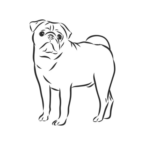 Pug dog siyah beyaz el çizilmiş. Komik, mutlu, gülümseyen köpek, oturuyor ve ileriye bakıyor. Köpekler, evcil hayvan temalı tasarım ögesi, simge, logo. — Stok Vektör