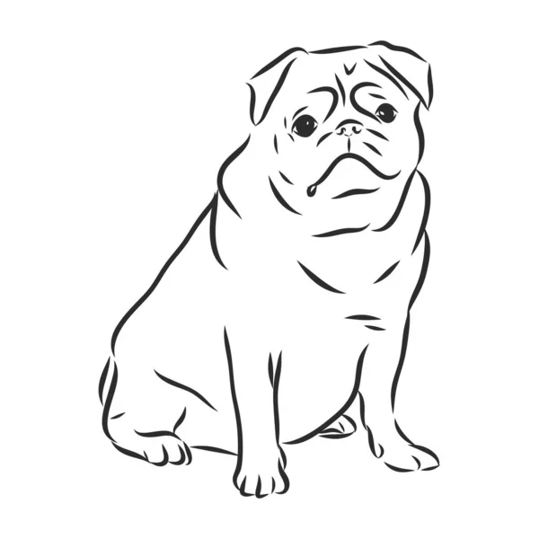 Perro Pug blanco y negro dibujado a mano. Gracioso pug sonriente feliz, sentado y mirando hacia adelante. Perros, mascotas elemento de diseño temático, icono, logotipo. — Archivo Imágenes Vectoriales