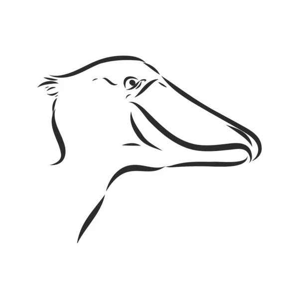 Icono Cigüeña Estilo Contorno Aislado Sobre Fondo Blanco Pájaro Símbolo — Vector de stock