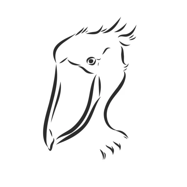 Icône Cigogne Style Contour Isolé Sur Fond Blanc Illustration Vectorielle — Image vectorielle