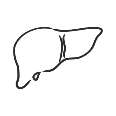 Beyaz arka planda insan karaciğer vektör çizgisi simgesi izole edildi. Detoksifikasyon konsepti. Infographic, web sitesi veya uygulama için insan karaciğer çizgisi simgesi. Beyaz arkaplanda karaciğer ve vektör çizimi