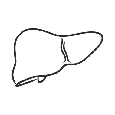 Beyaz arka planda insan karaciğer vektör çizgisi simgesi izole edildi. Detoksifikasyon konsepti. Infographic, web sitesi veya uygulama için insan karaciğer çizgisi simgesi. Beyaz arkaplanda karaciğer ve vektör çizimi