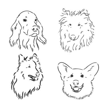 Siluet basit bir baş köpek. Vektör çizimi. Bir köpeğin portresi, vektör çizimi beyaz arka planda bir köpek vektör çizimi