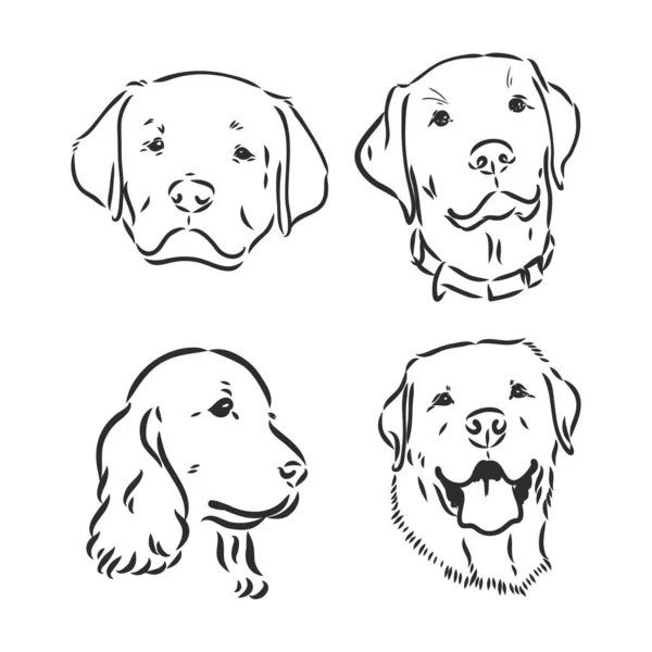 Silhuett Enkel Huvud Hund Vektorillustration Porträtt Hund Vektor Skiss Illustration — Stock vektor