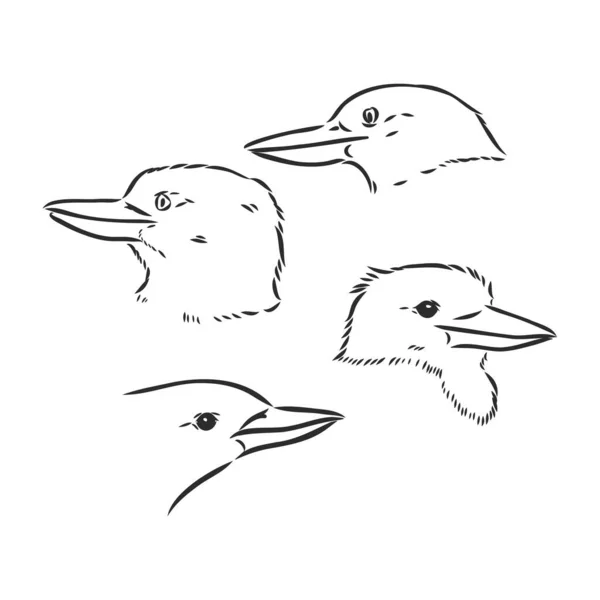 Dessin Vectoriel Oiseau Kookaburra Noir Illustration Vectorielle Croquis Kookaburra — Image vectorielle