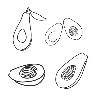 Avokado. Contour illüstrasyon. Tahta kesim tarzında egzotik meyveler. Beyaz arkaplandaki izole vektör. avokado, beyaz arkaplanda vektör çizimi