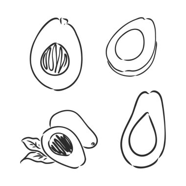 Avokado. Contour illüstrasyon. Tahta kesim tarzında egzotik meyveler. Beyaz arkaplandaki izole vektör. avokado, beyaz arkaplanda vektör çizimi