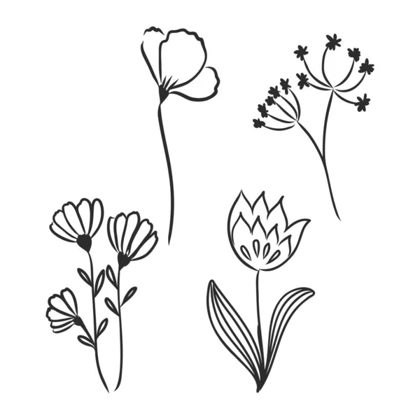 Inkt Potlood Bladeren Bloemen Van Appel Geïsoleerd Line Art Transparante — Stockvector