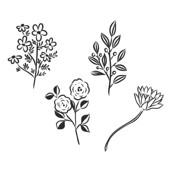 Inkt Potlood Bladeren Bloemen Van Appel Geïsoleerd Line Art Transparante — Stockvector